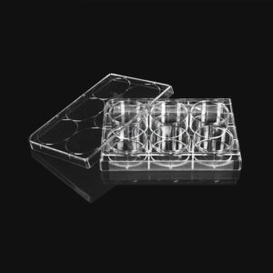 Bacterial cell culture plate enzyme-linked immunosorbent assay (ELISA) plate