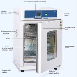 Electric heating constant temperature incubator, laboratory microbial bacterial cell, plant seed germination constant temperature incubator - Image 3