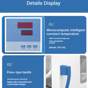 Electric heating constant temperature incubator, laboratory microbial bacterial cell, plant seed germination constant temperature incubator - Image 4