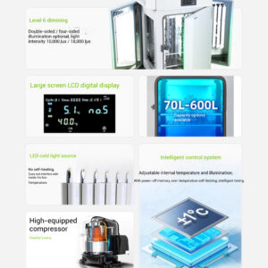 Light Incubator Laboratory Bacteria, Fungi, Microorganisms Light Incubator Constant Temperature and Humidity Test Chamber - Image 3